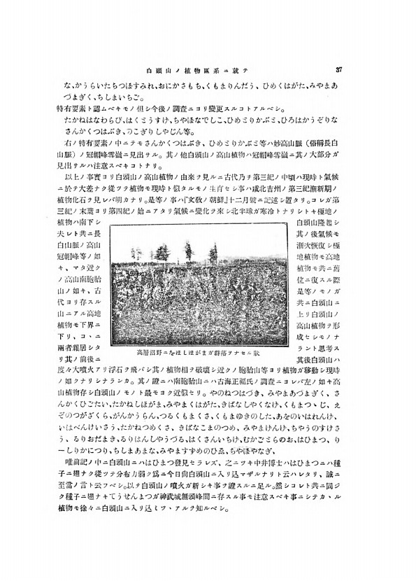 37페이지