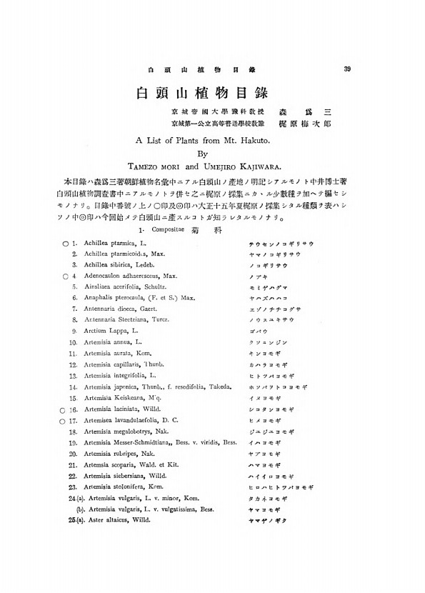 39페이지