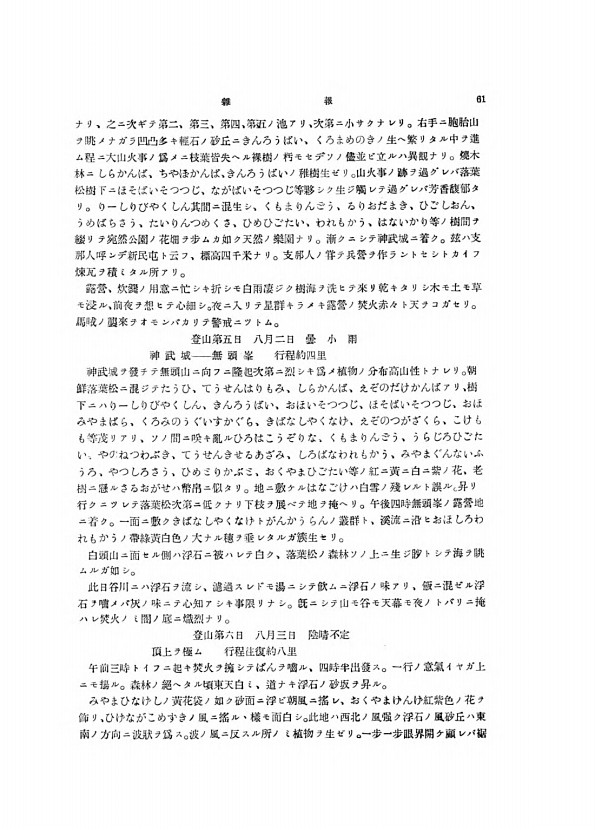 61페이지