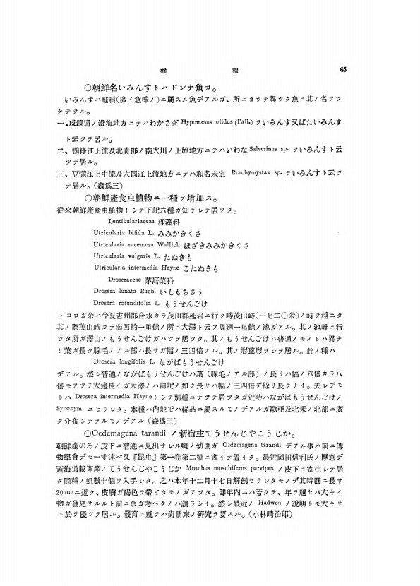 65페이지
