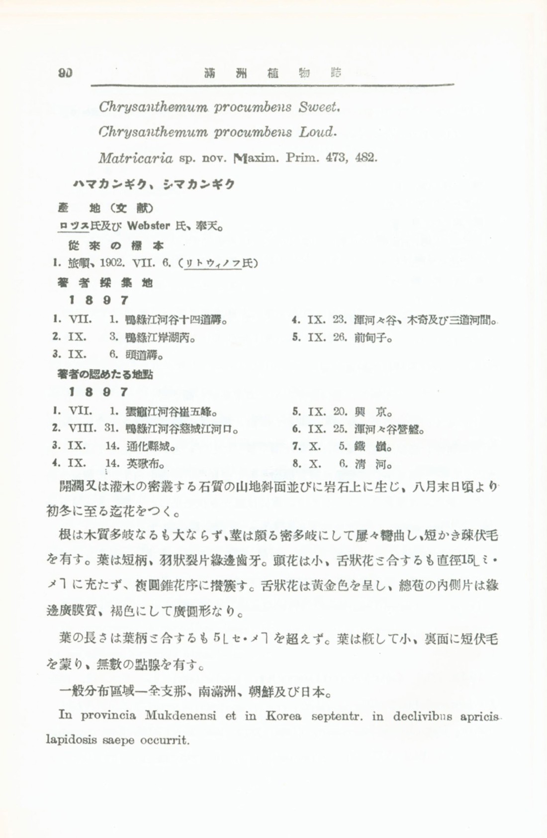 페이지
