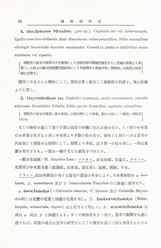10페이지