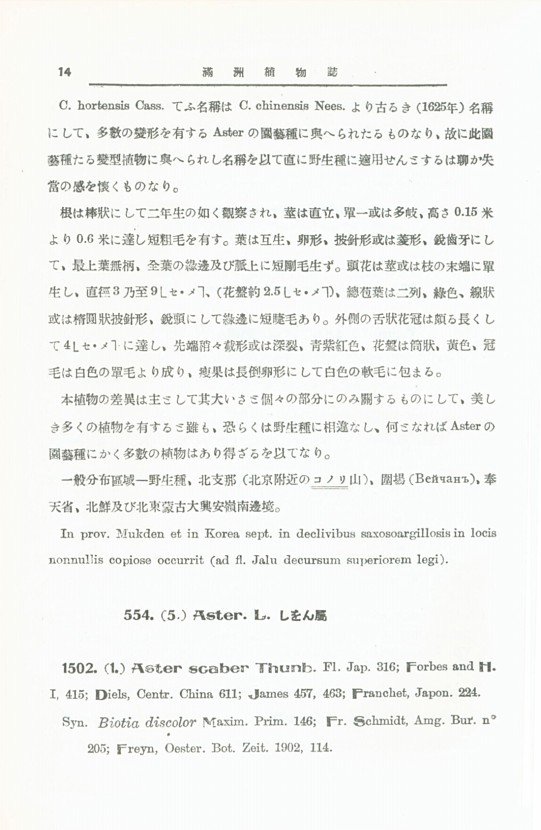 12페이지