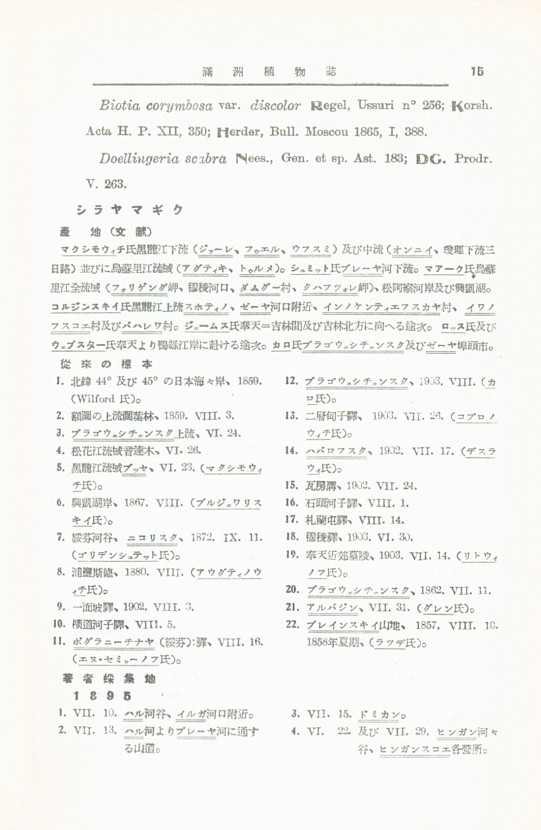 13페이지