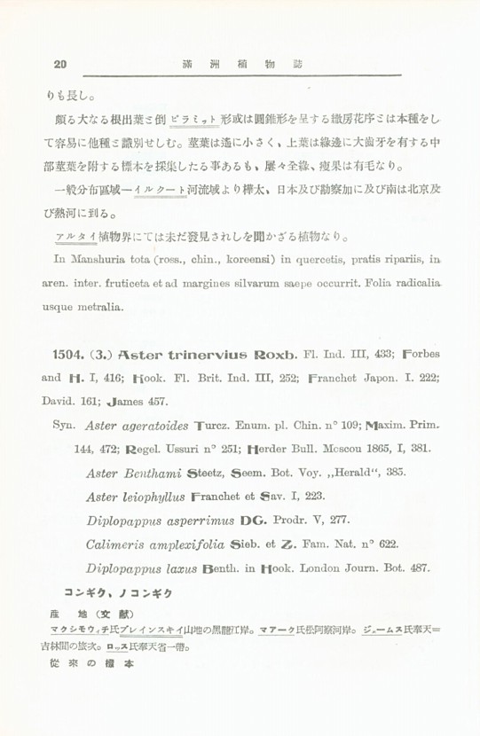 18페이지