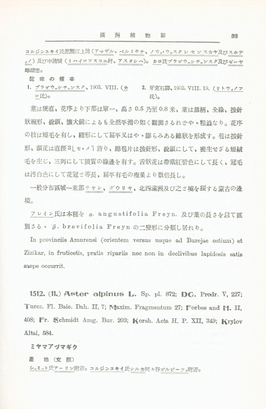 33페이지