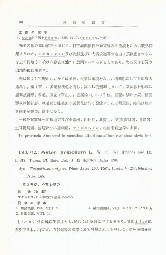 34페이지