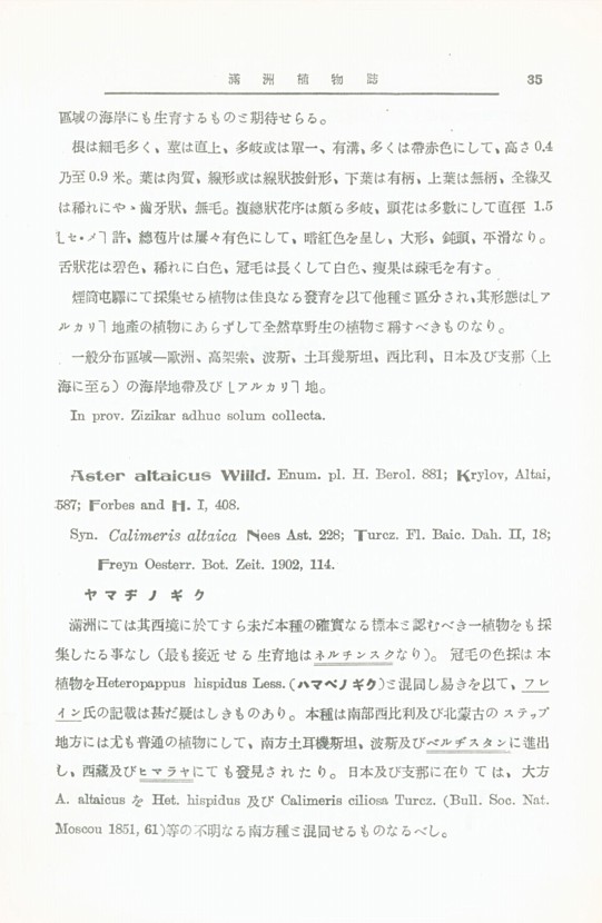 35페이지