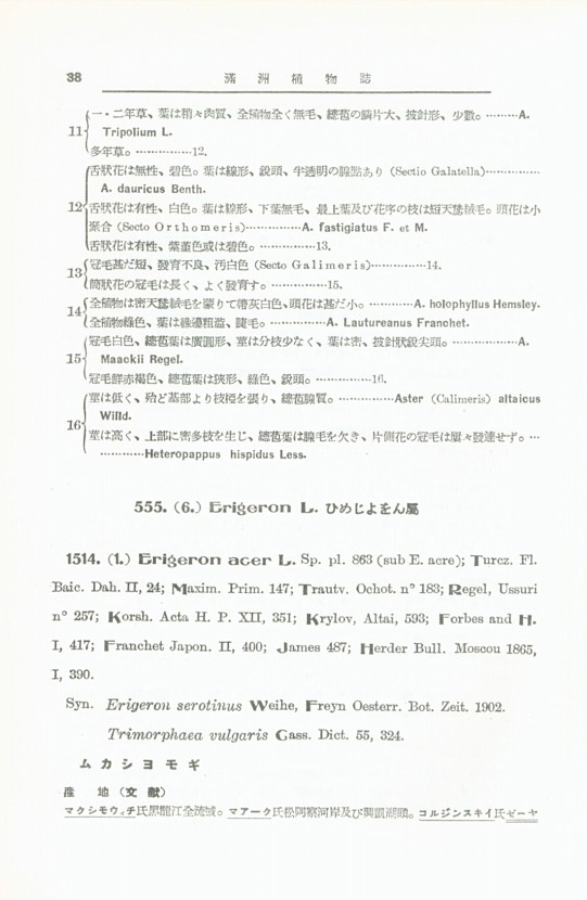 38페이지