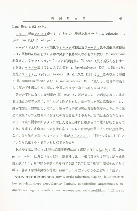 41페이지
