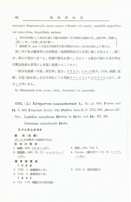 42페이지