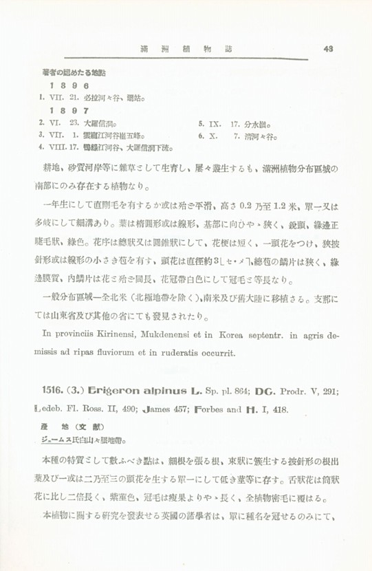 53페이지