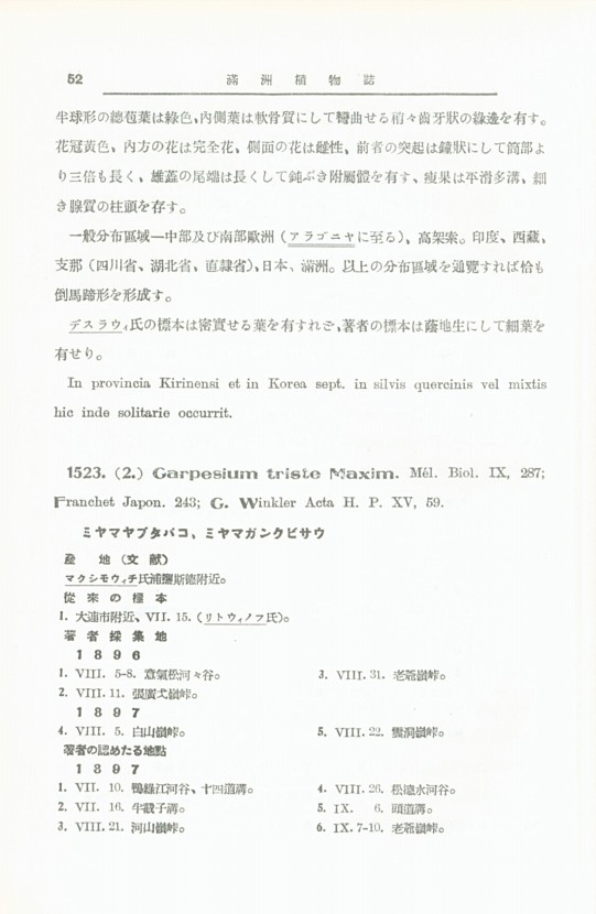 62페이지