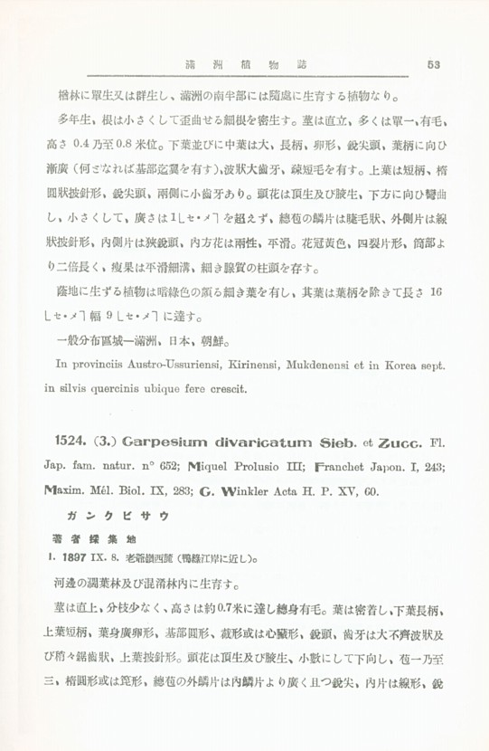 63페이지
