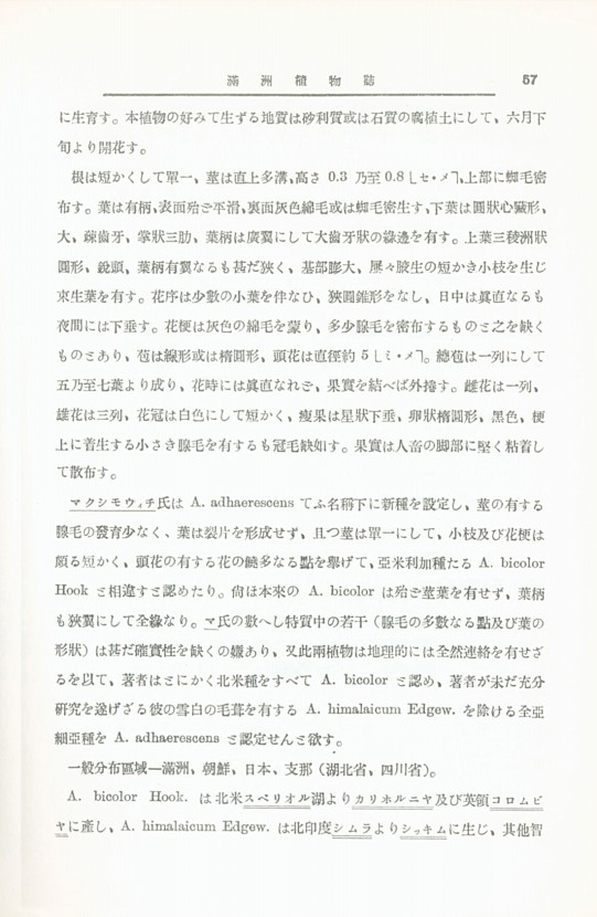 67페이지