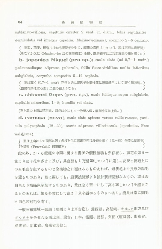 74페이지