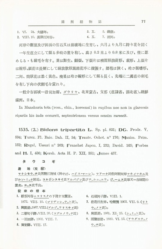 81페이지