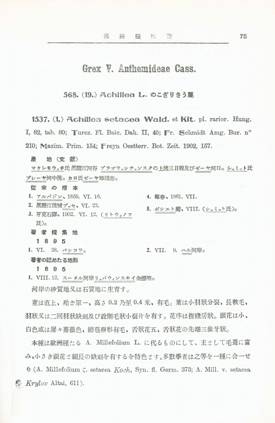 91페이지