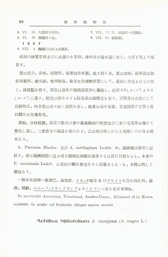 96페이지