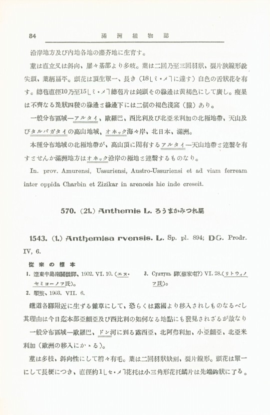 100페이지