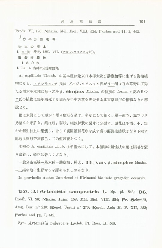 113페이지