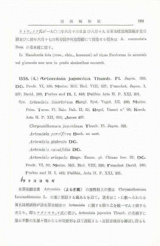 113페이지