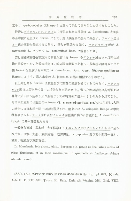 117페이지