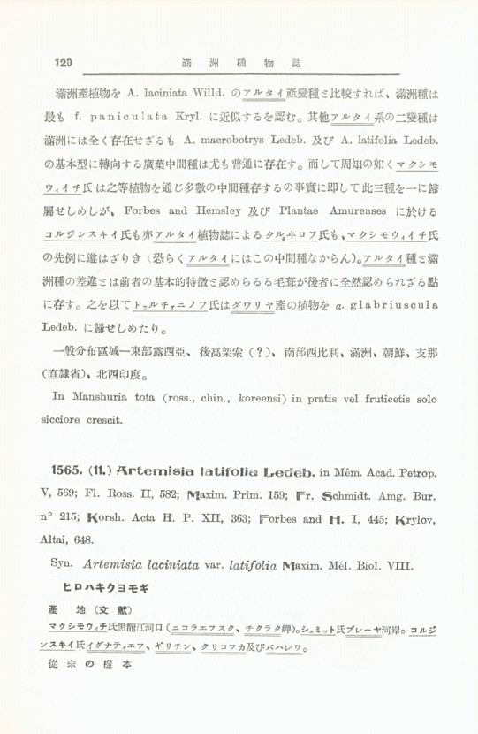 126페이지