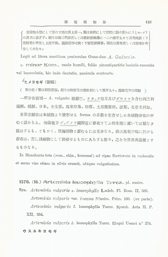 137페이지