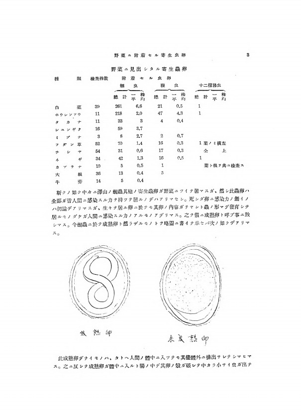 3페이지
