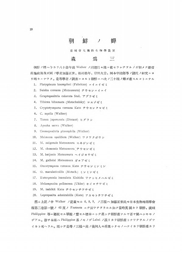 10페이지