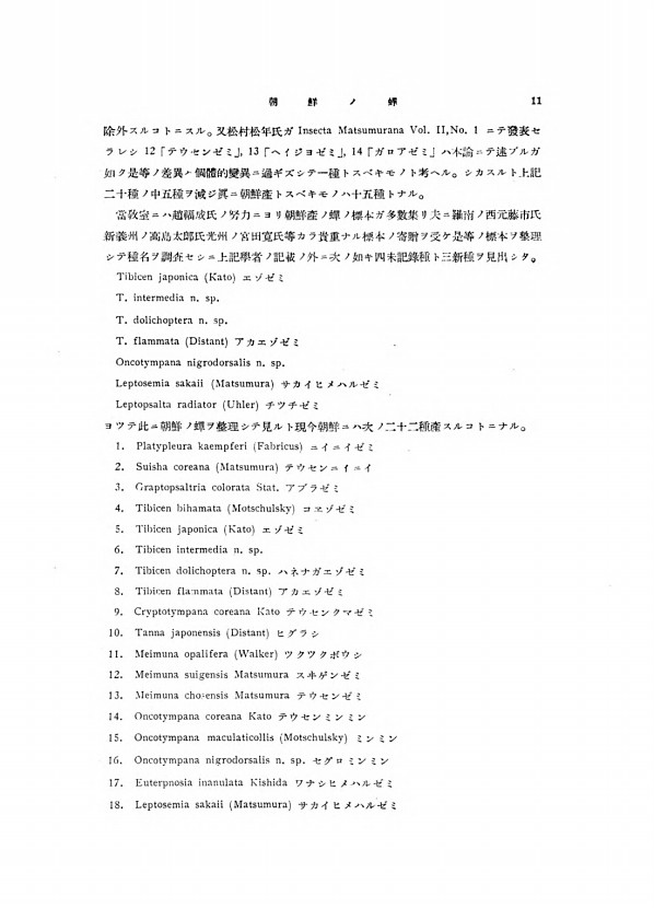 11페이지