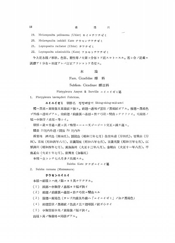 12페이지