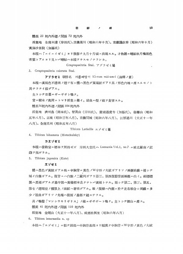13페이지