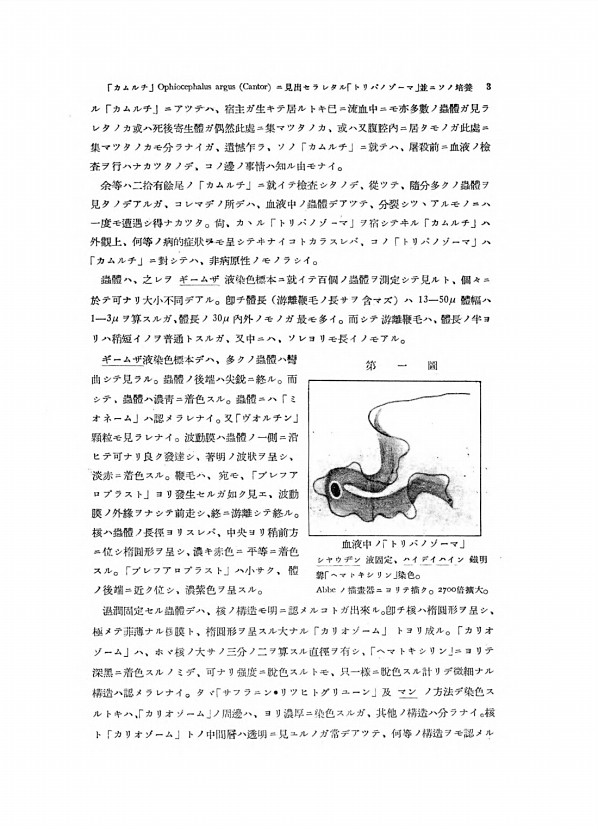 3페이지