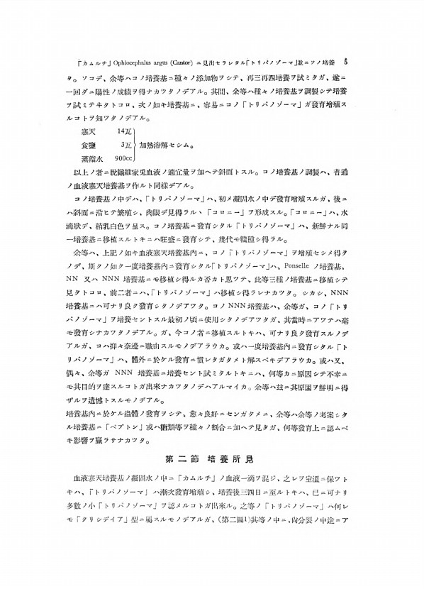5페이지