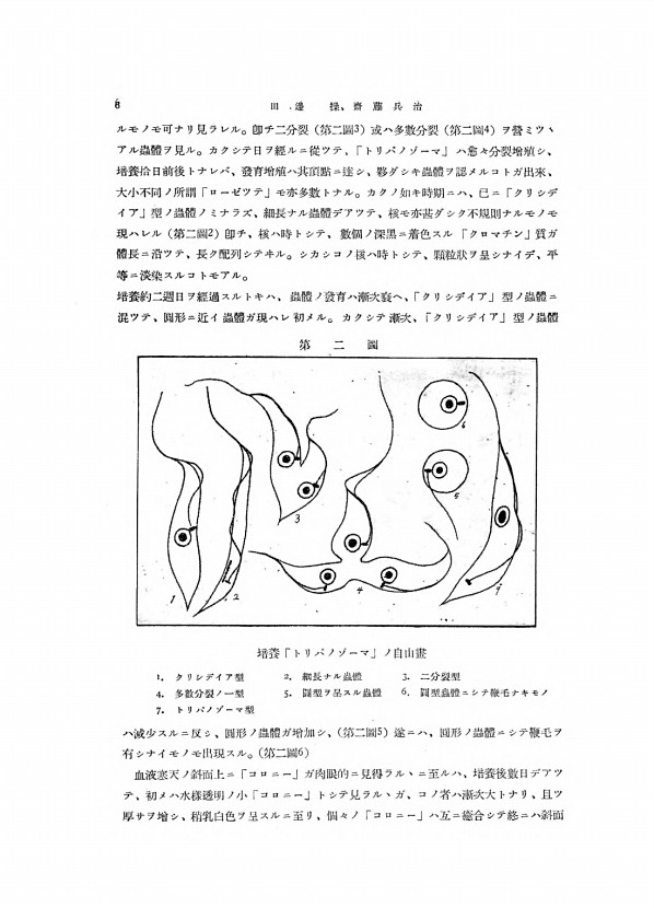 6페이지