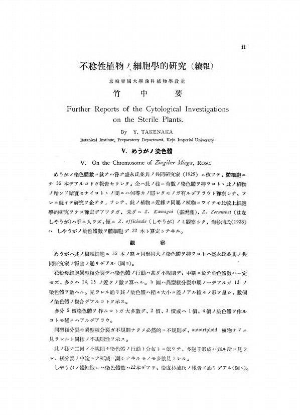 11페이지
