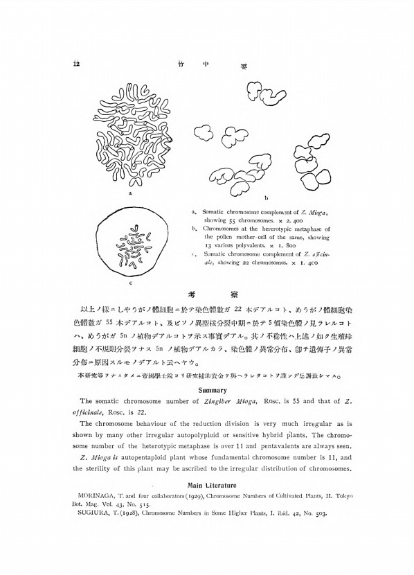 12페이지
