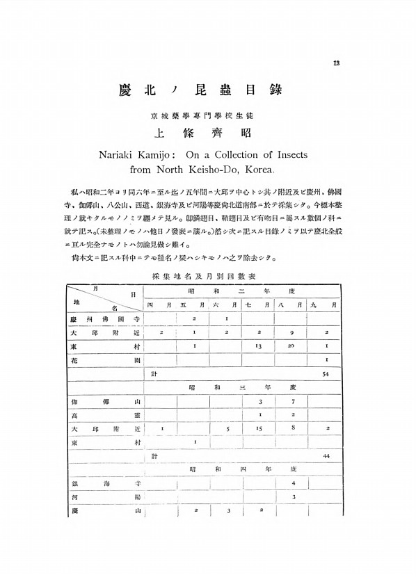 13페이지