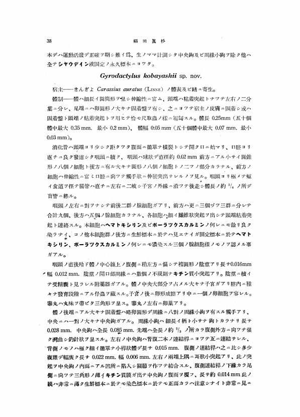 4페이지