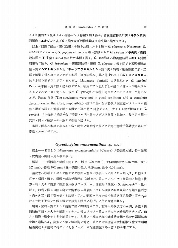 5페이지
