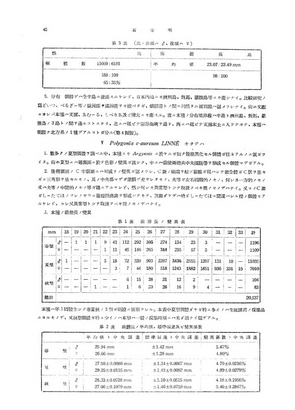 8페이지