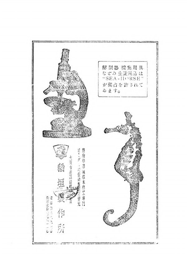 22페이지