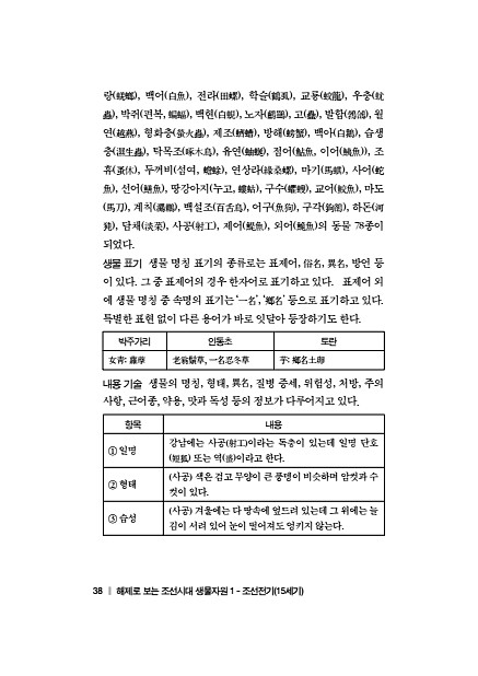 38페이지