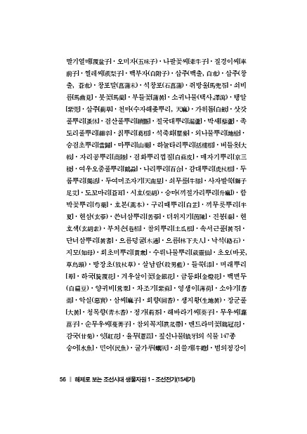 56페이지