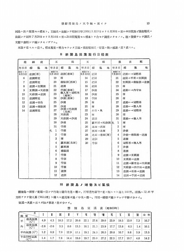 13페이지