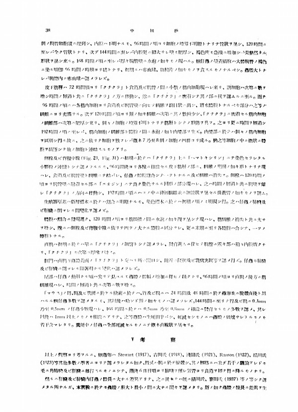 4페이지