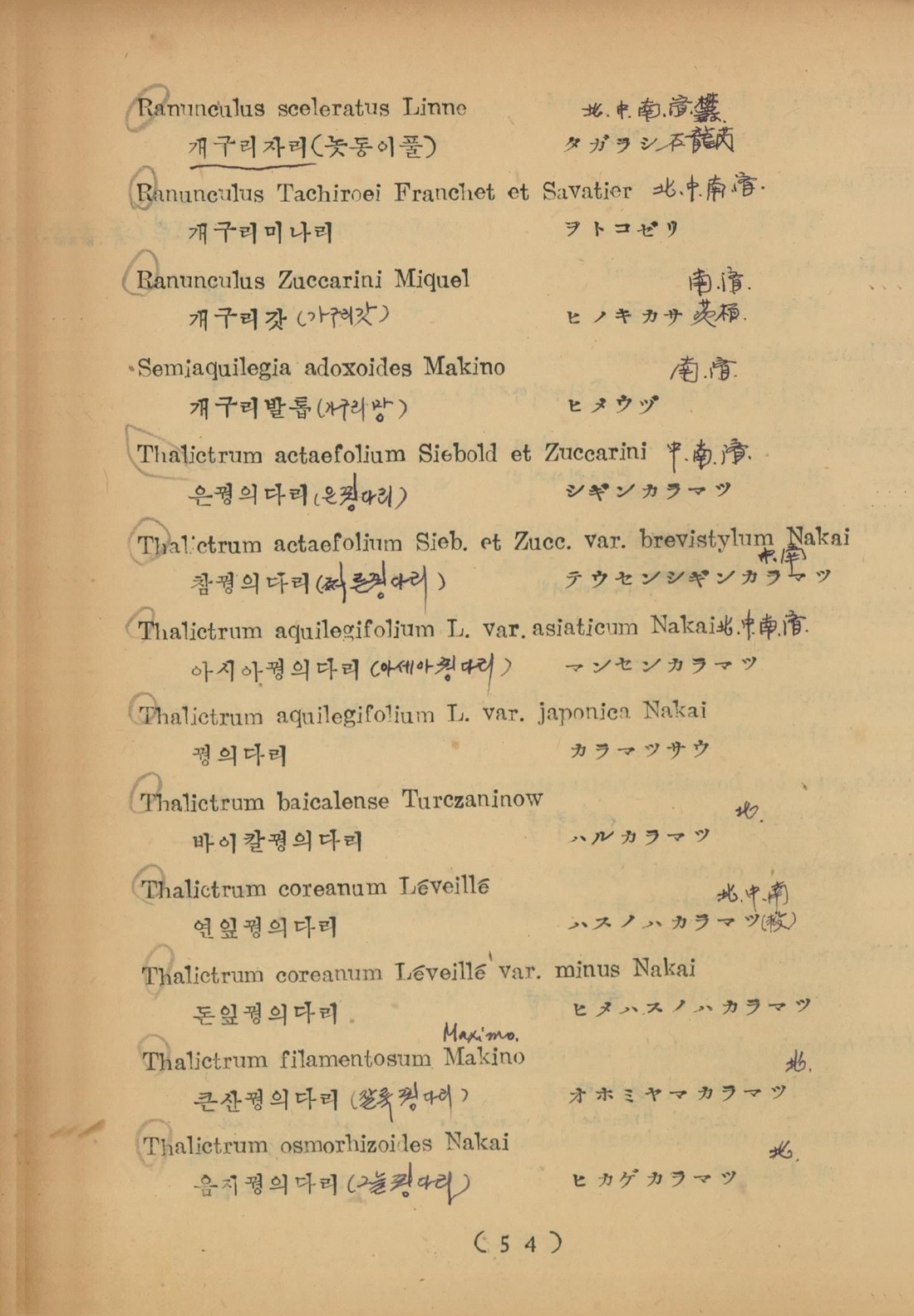 페이지
