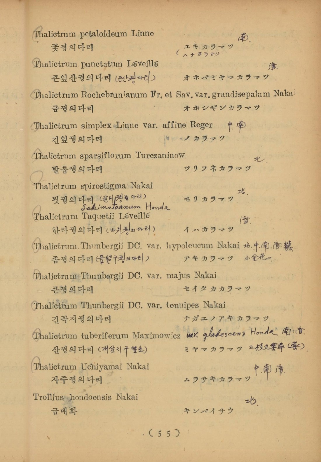 페이지